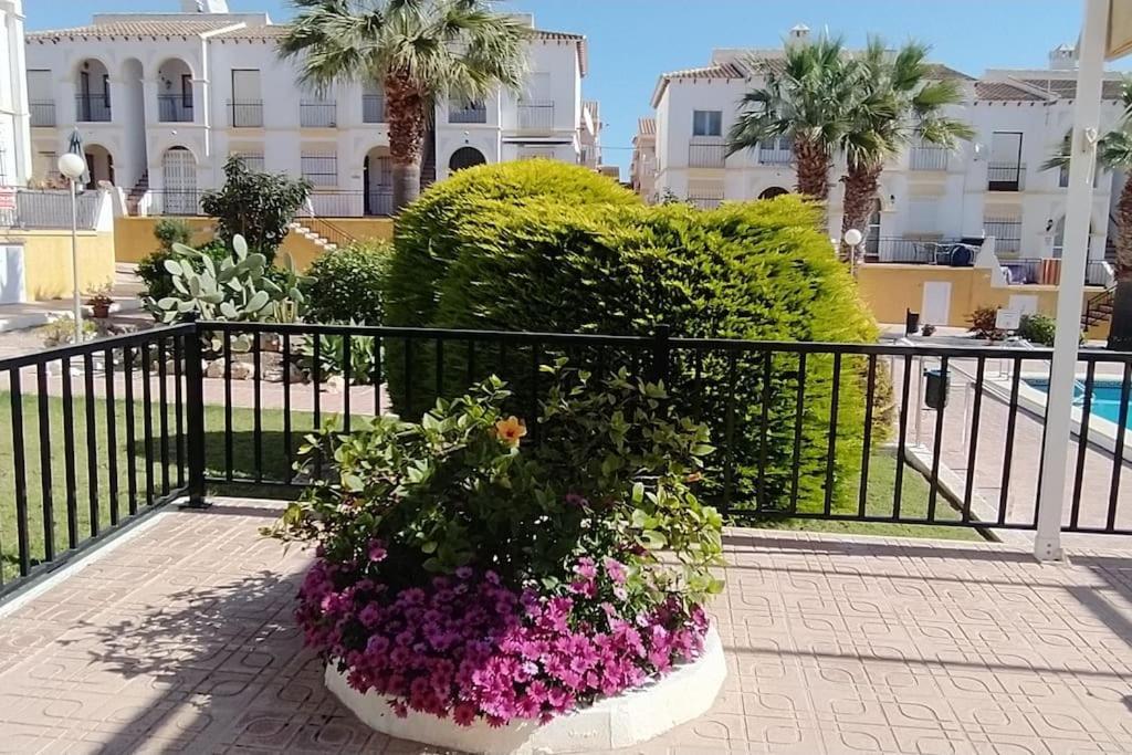 Villamartin Golf Lovers Home San Miguel De Salinas Buitenkant foto